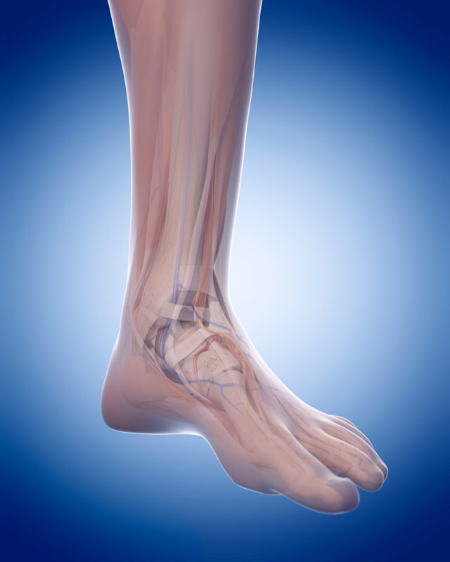 Foot-and-Ankle-Surgeon-Los-Angeles-Foot-and-Ankle-Surgeon-1